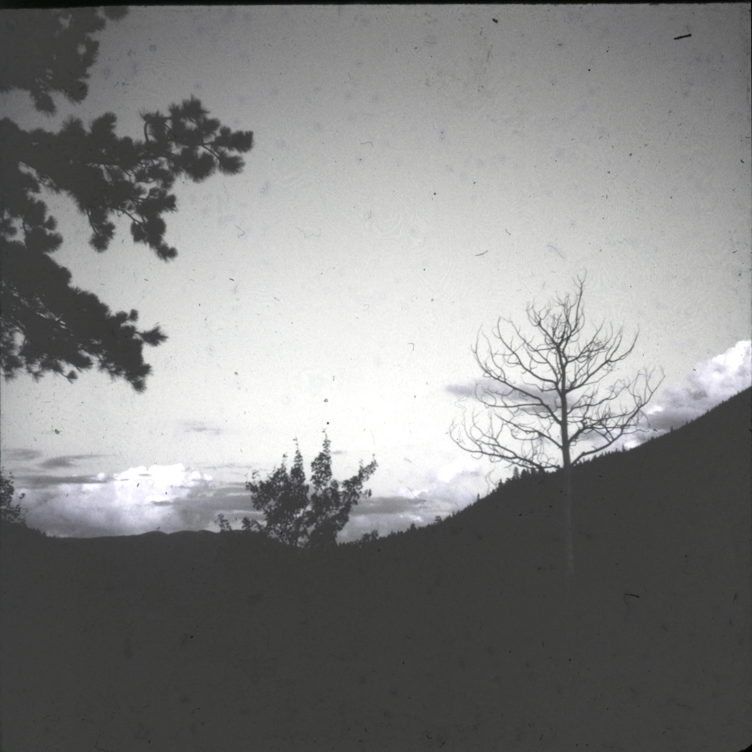 Slide 0528