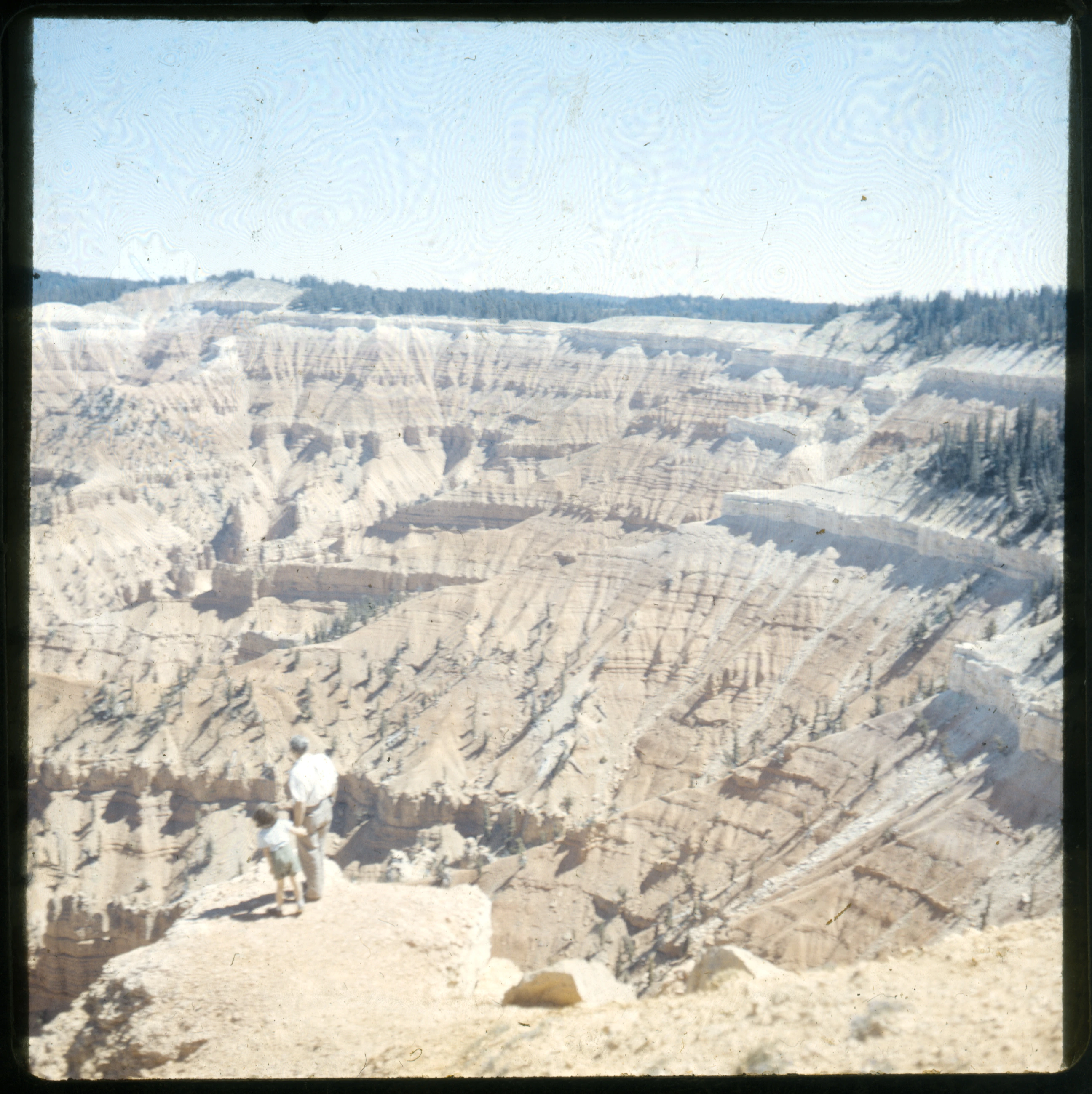 Slide 0561