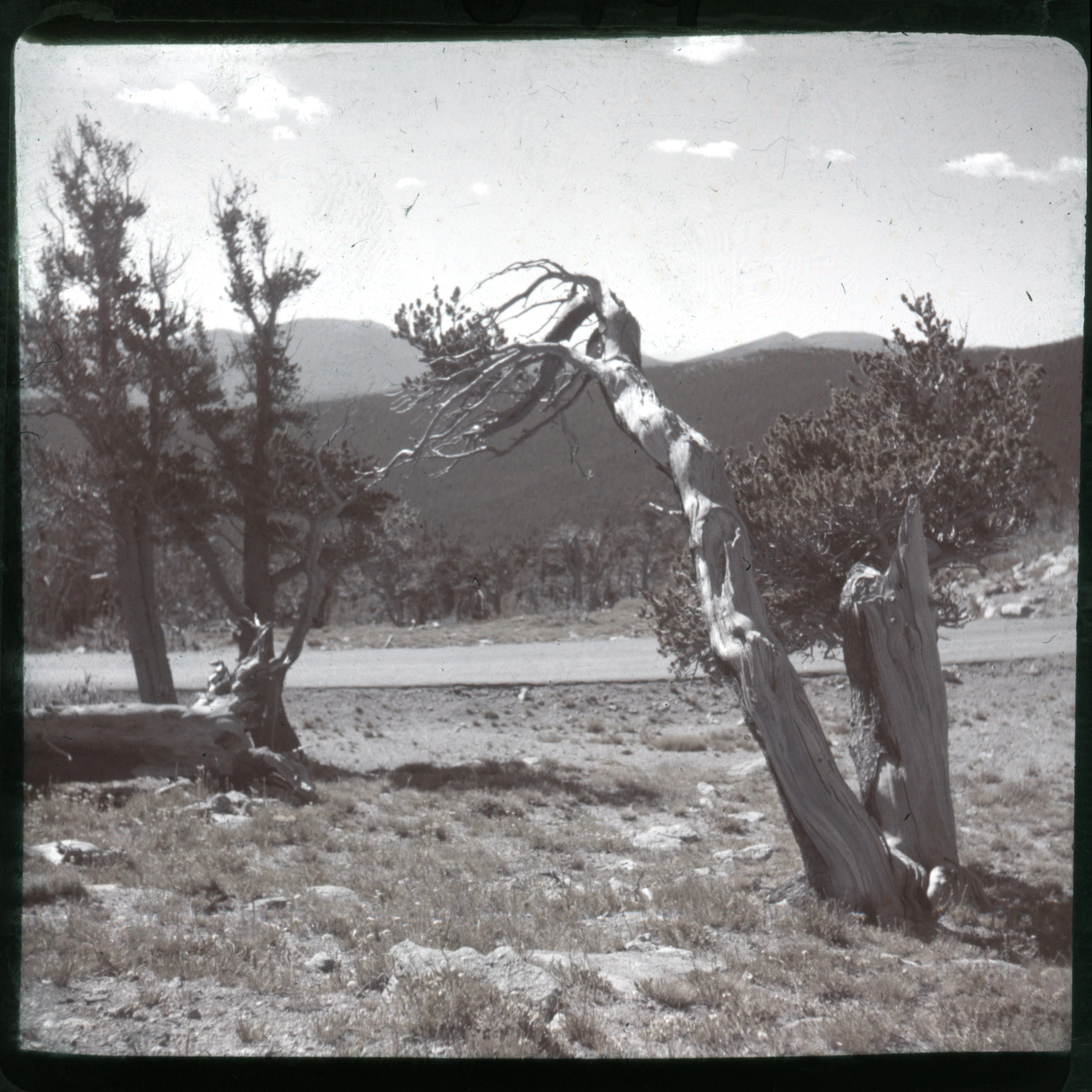 Slide 0699