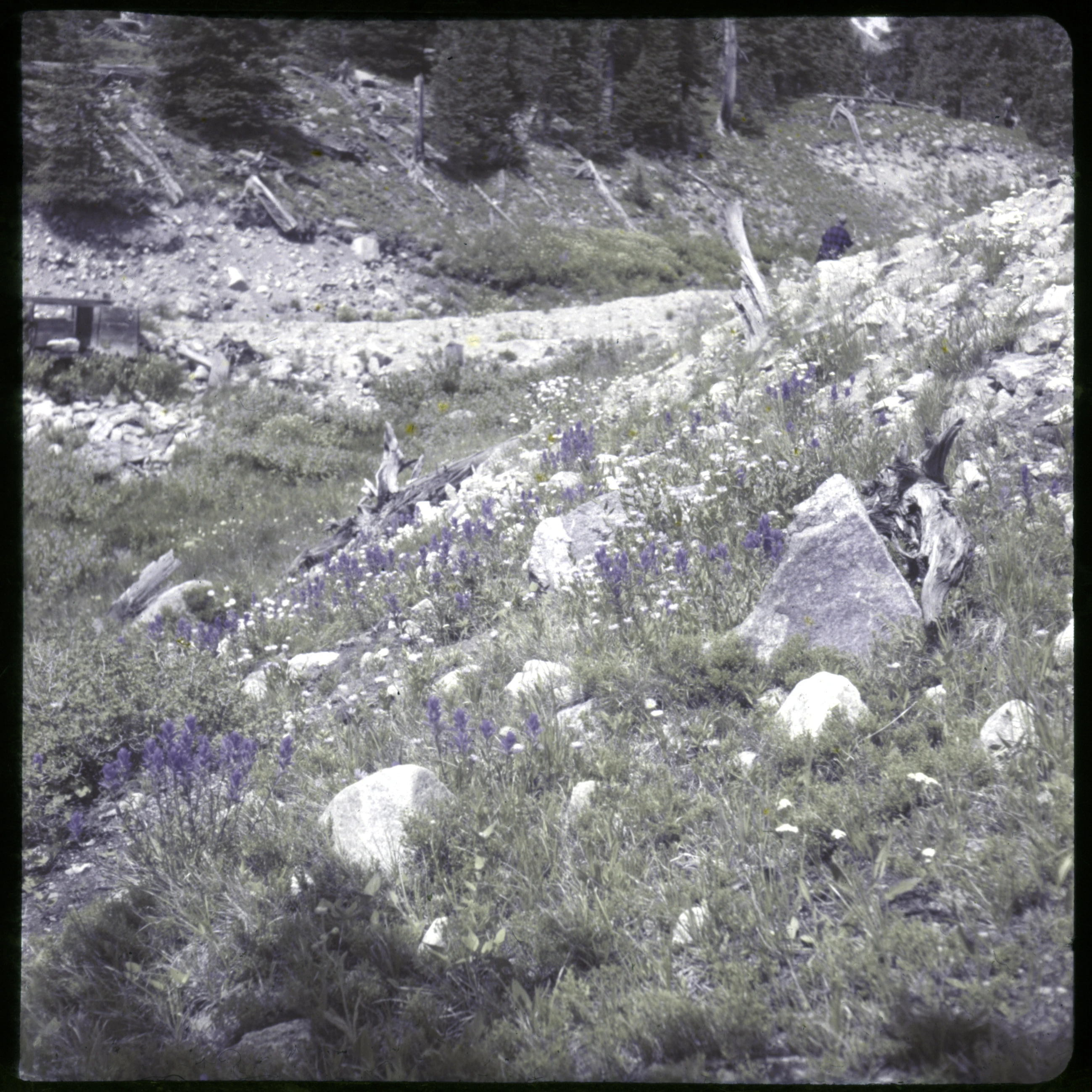Slide 0722
