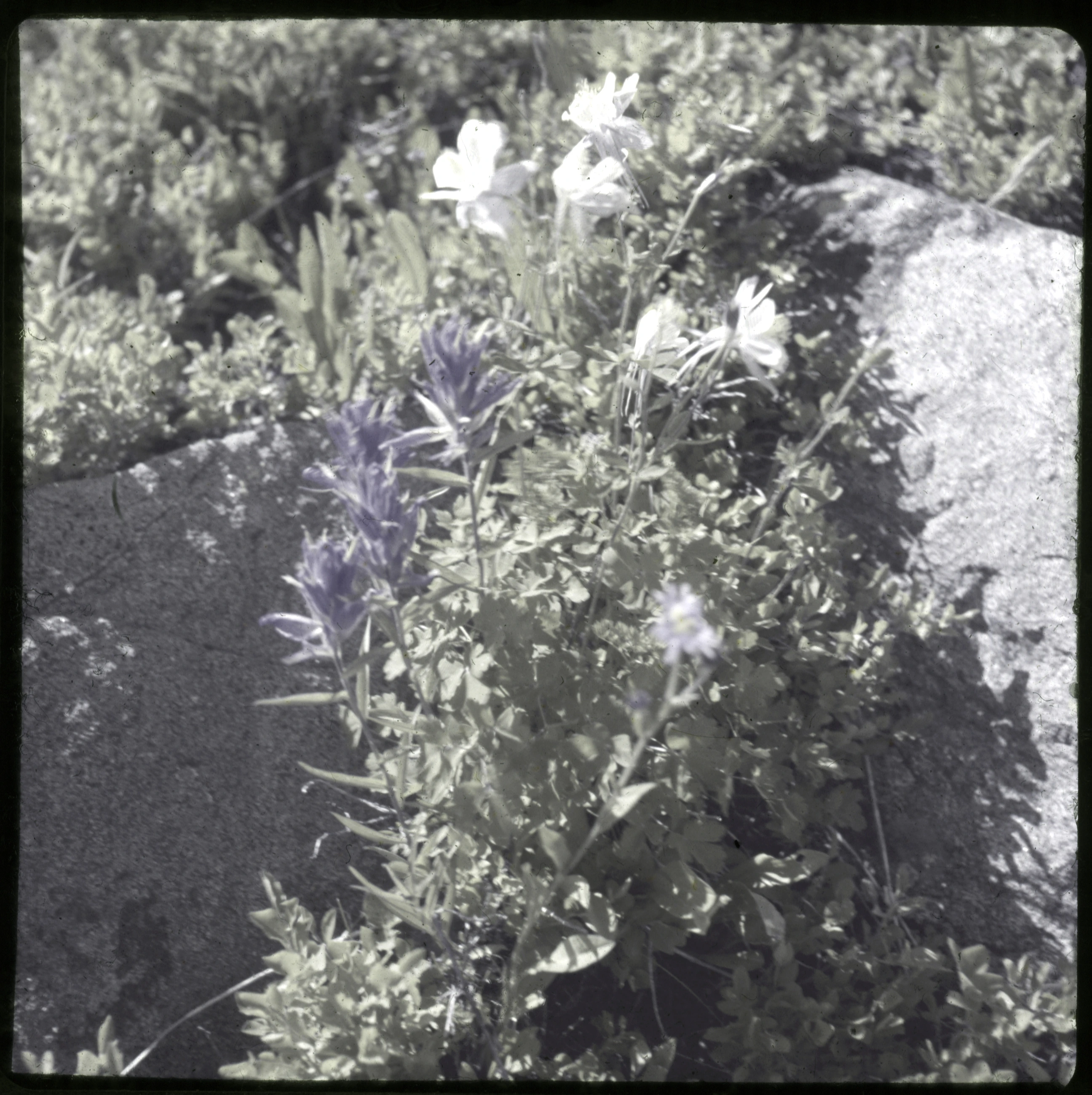 Slide 0803
