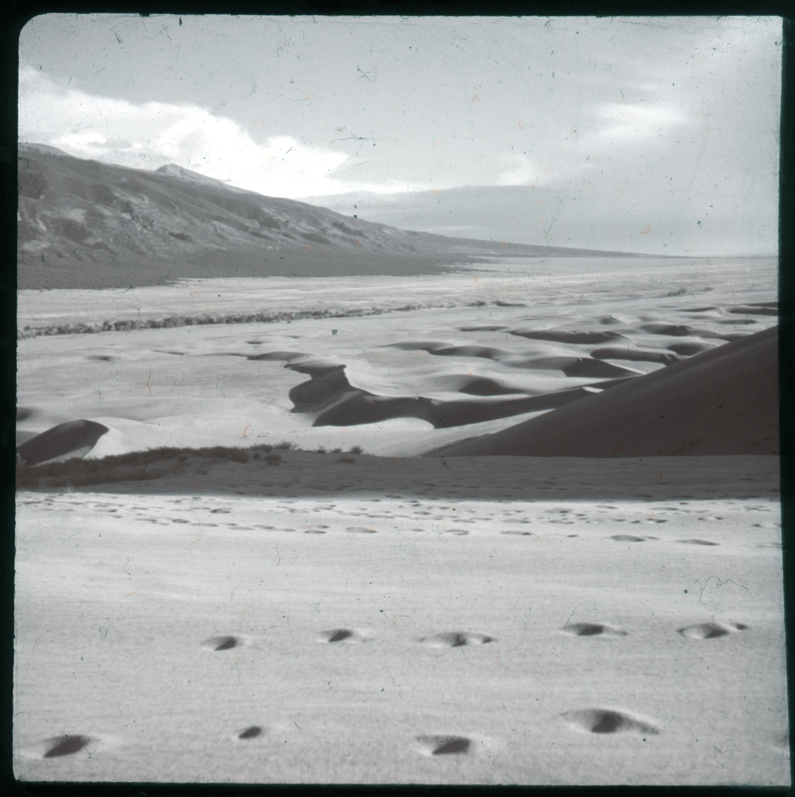 Slide 0835